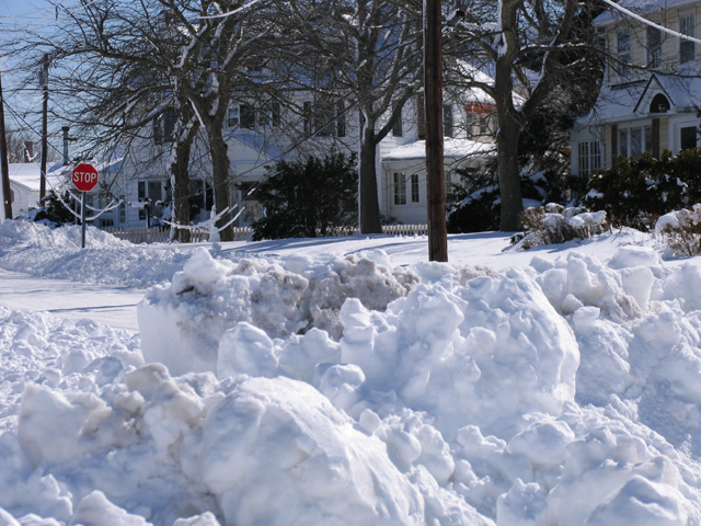 Stinking Snow in Cape May