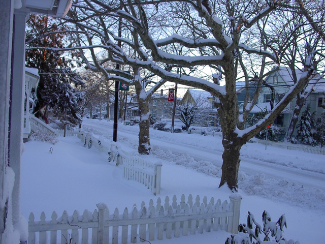 Snow covered street