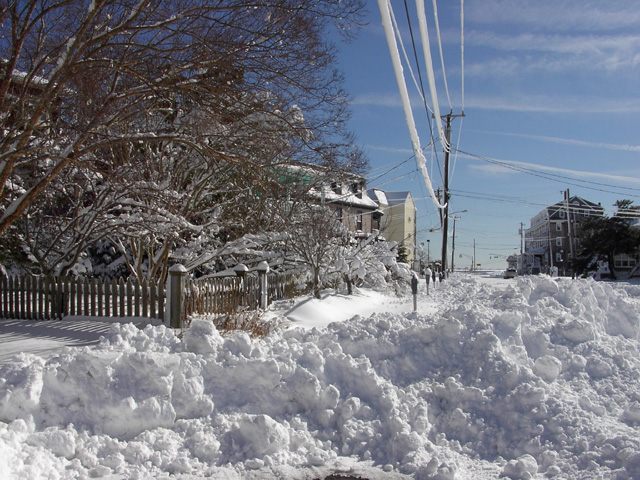 Cape May Snow